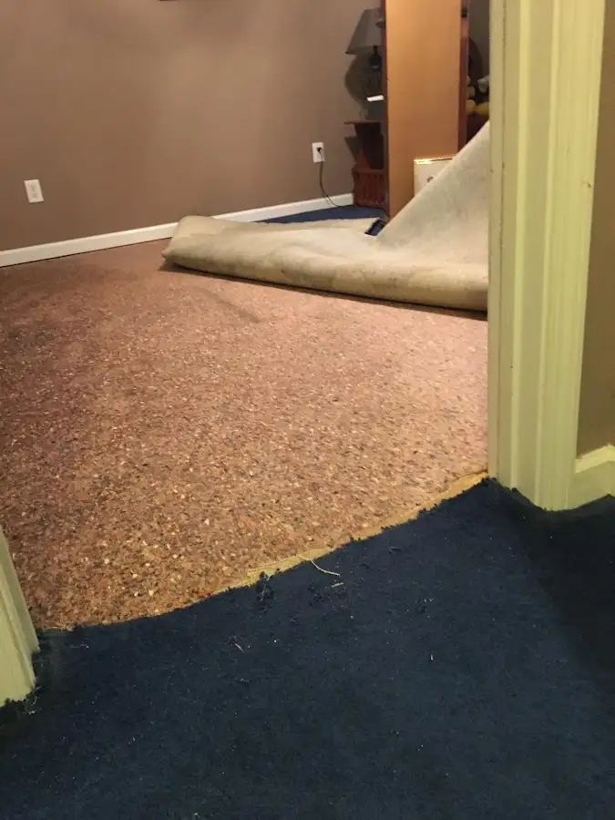 Carpet pad removal revealing water damage during Drying & Dehumidification in Adams